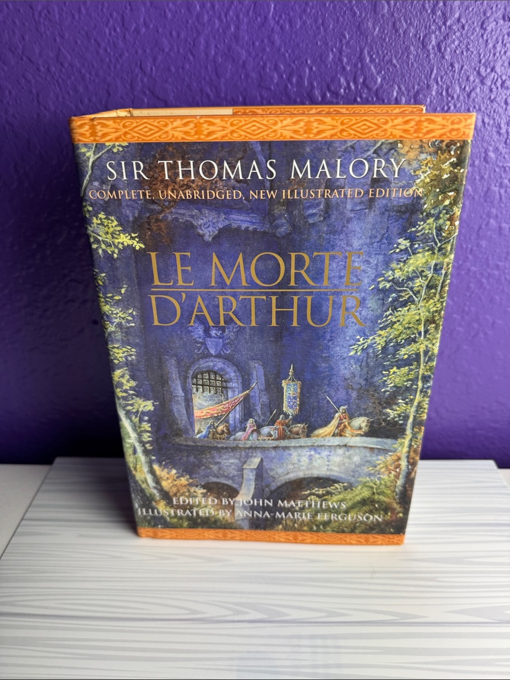 Barnes & Noble Illustrated Le Morte D'Arthur — Purple Cover with Orange Trim